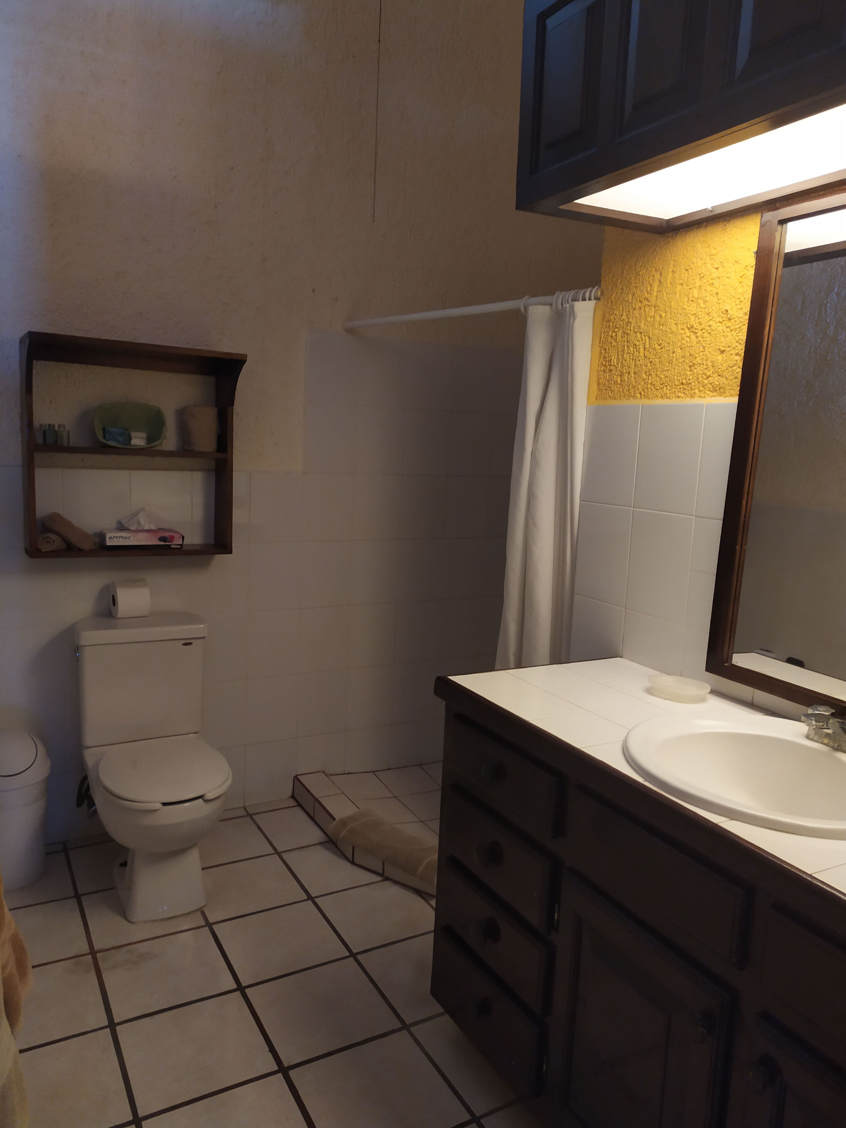 Een badkamer met toilet, wastafel en spiegel. Daarboven bevindt zich een plank bij het toilet en er is een douchegordijn.