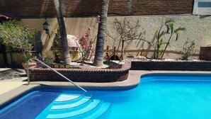 A swimming pool with a tiled edge, surrounded by a brick wall and palm trees.