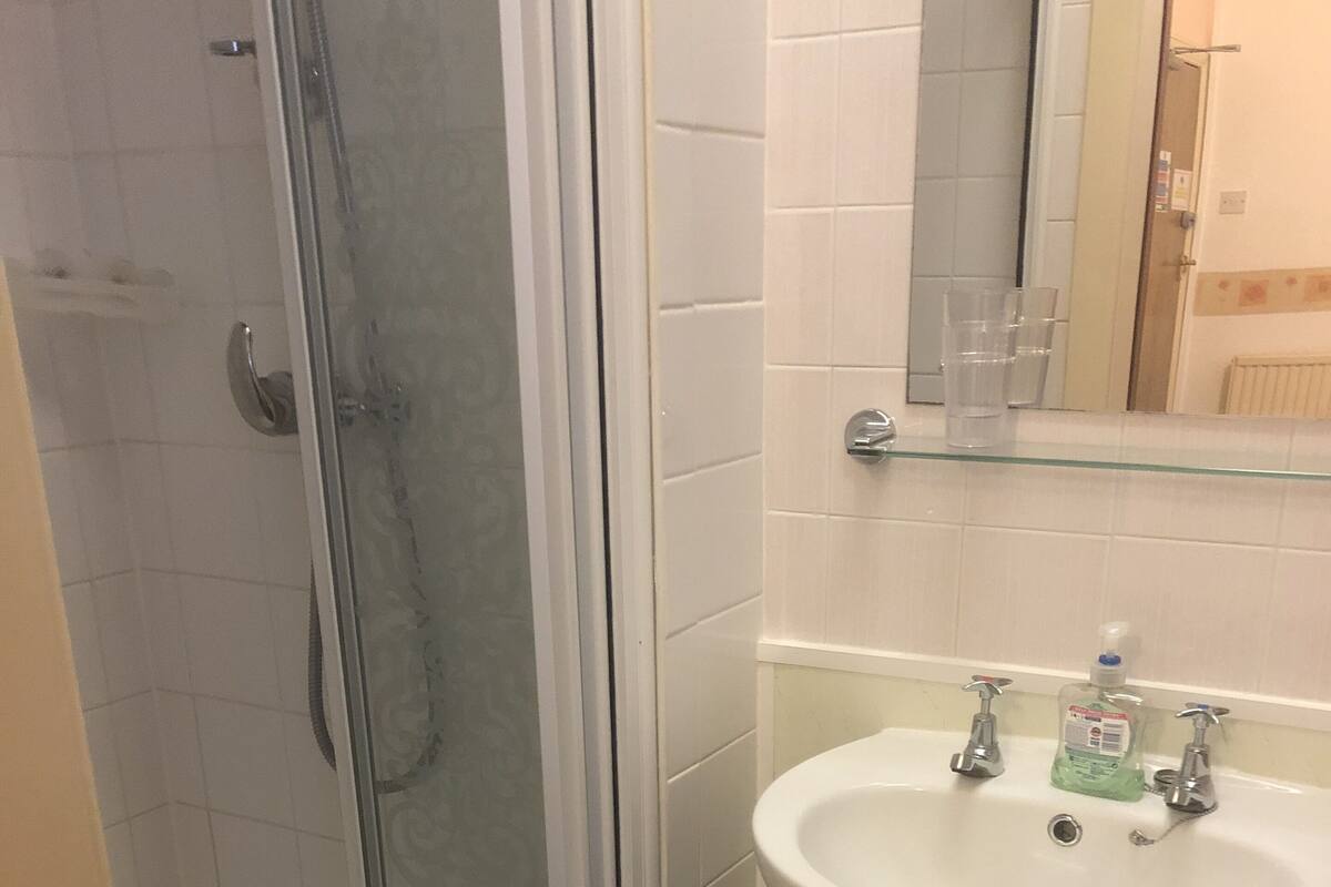 A bathroom with a glass shower enclosure, a white sink with two faucets, and a small trash can.
