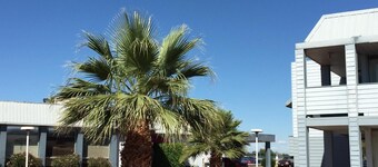 E-Z 8 Motel Phoenix Airporter