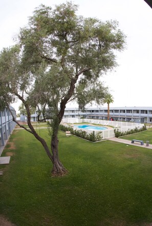 A tree-lined courtyard with a swimming pool, a white fence, and a building in the background.
