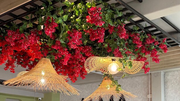 A restaurant interior with a modern design, featuring a wooden table and chairs, a wall with the name 'ALMA By Santa Maria', and hanging plants and lights. - Hotel Santa Clara Boutique (Montería)