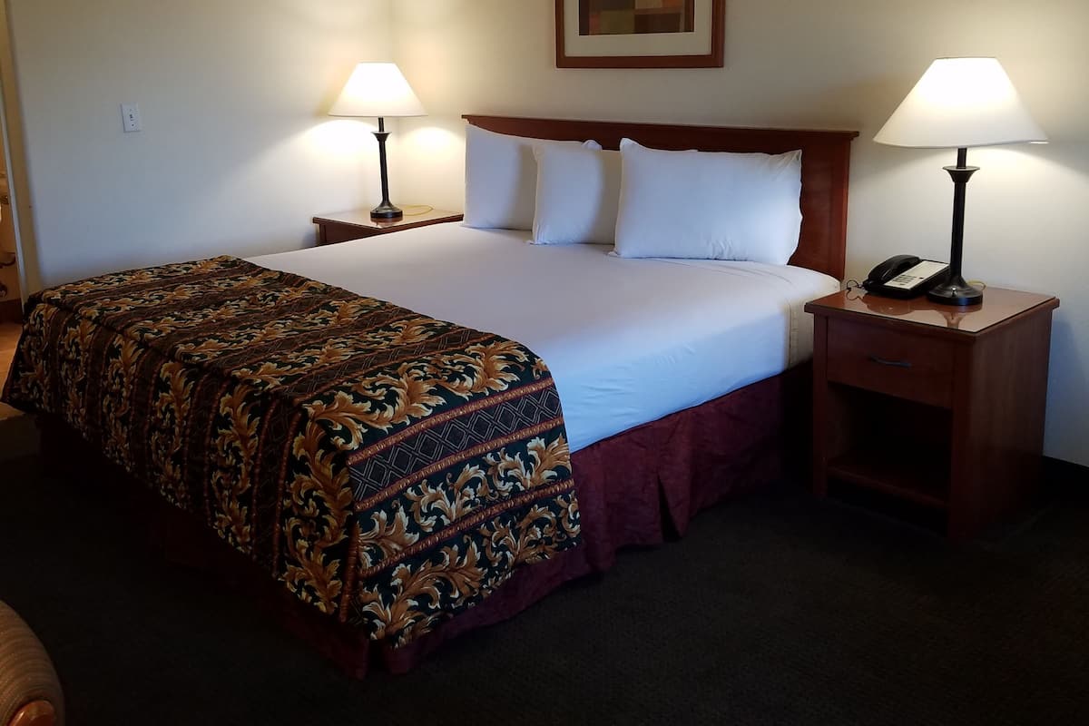 Habitación de hotel con una cama grande, dos mesitas de noche con lámparas, un cuadro enmarcado en la pared y una colcha estampada.