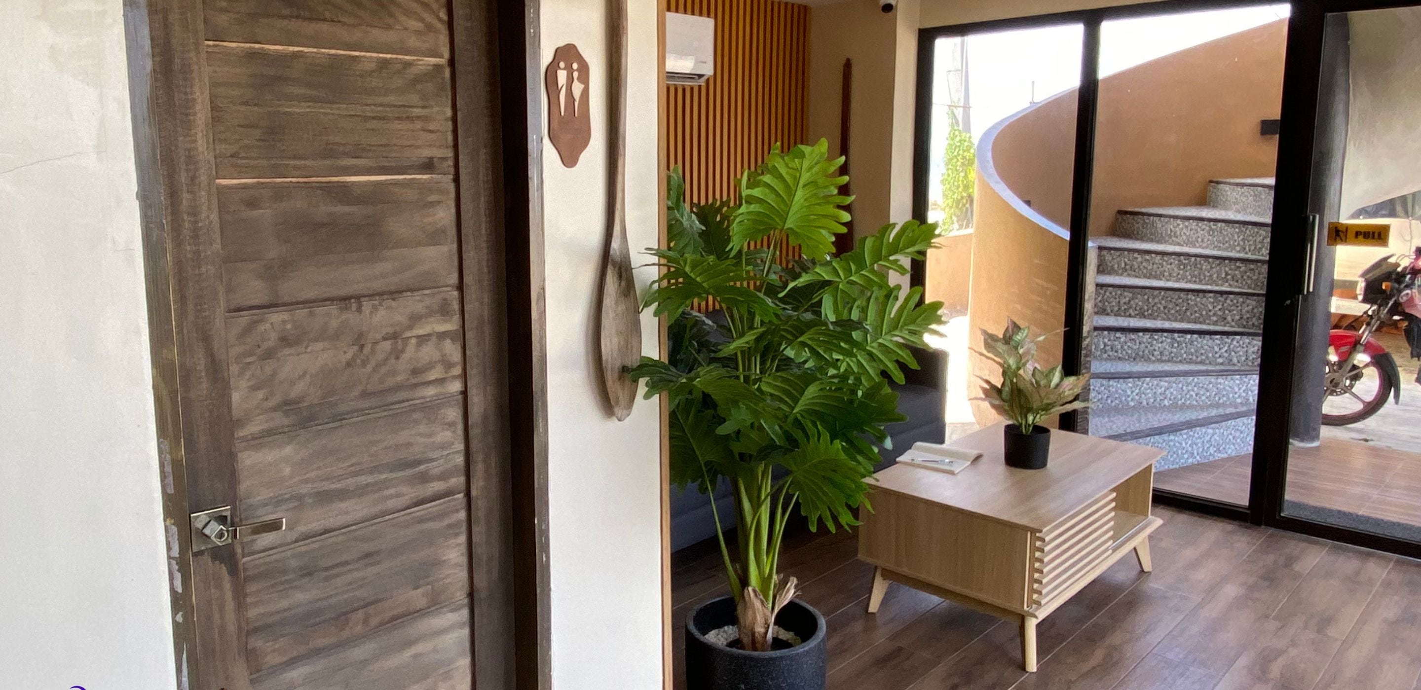 Una zona de recepción con puerta de madera, mostrador de recepción y planta en maceta.