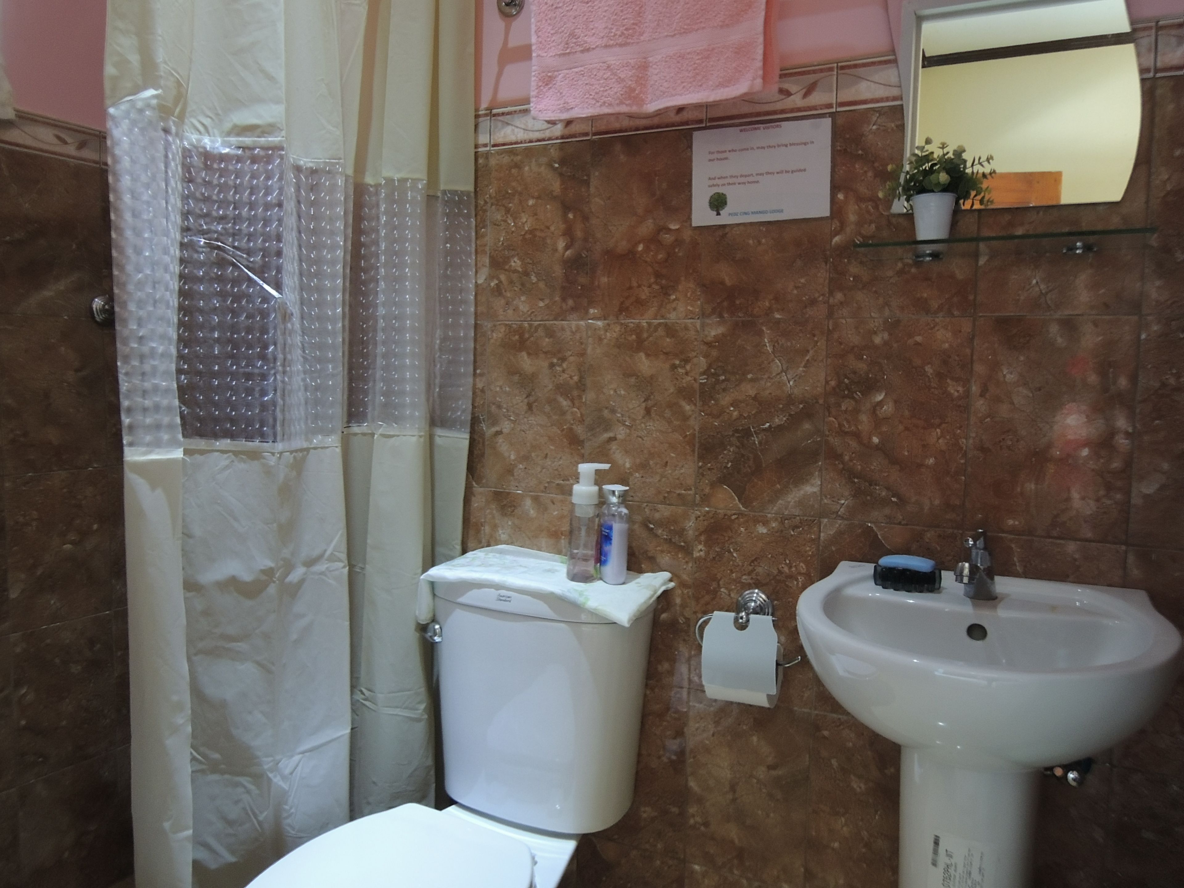 A bathroom with a toilet, sink, and shower curtain.
