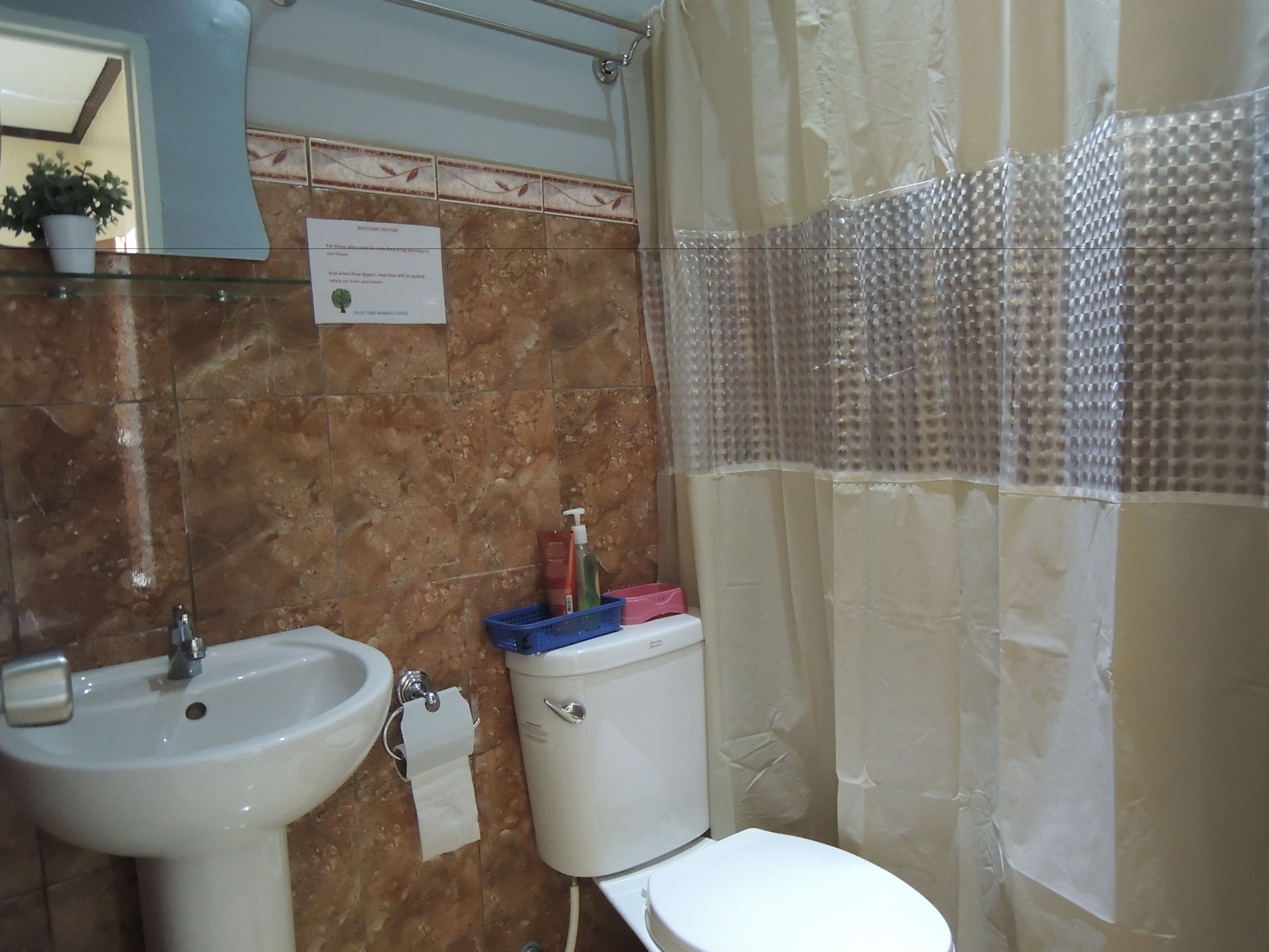 Een badkamer met een wastafel, toilet en douchegordijn.