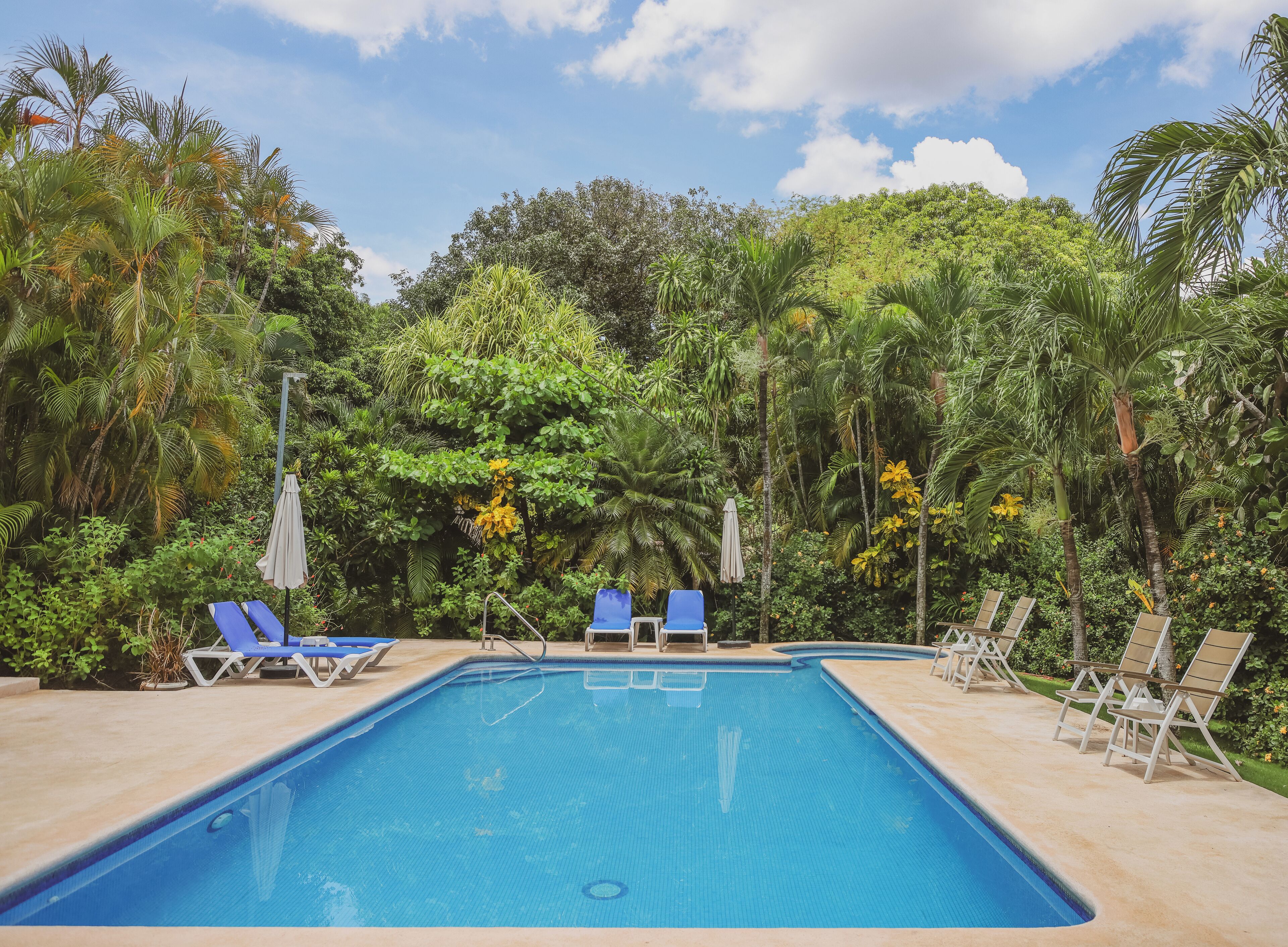 outdoor pool, pool umbrellas, pool loungers