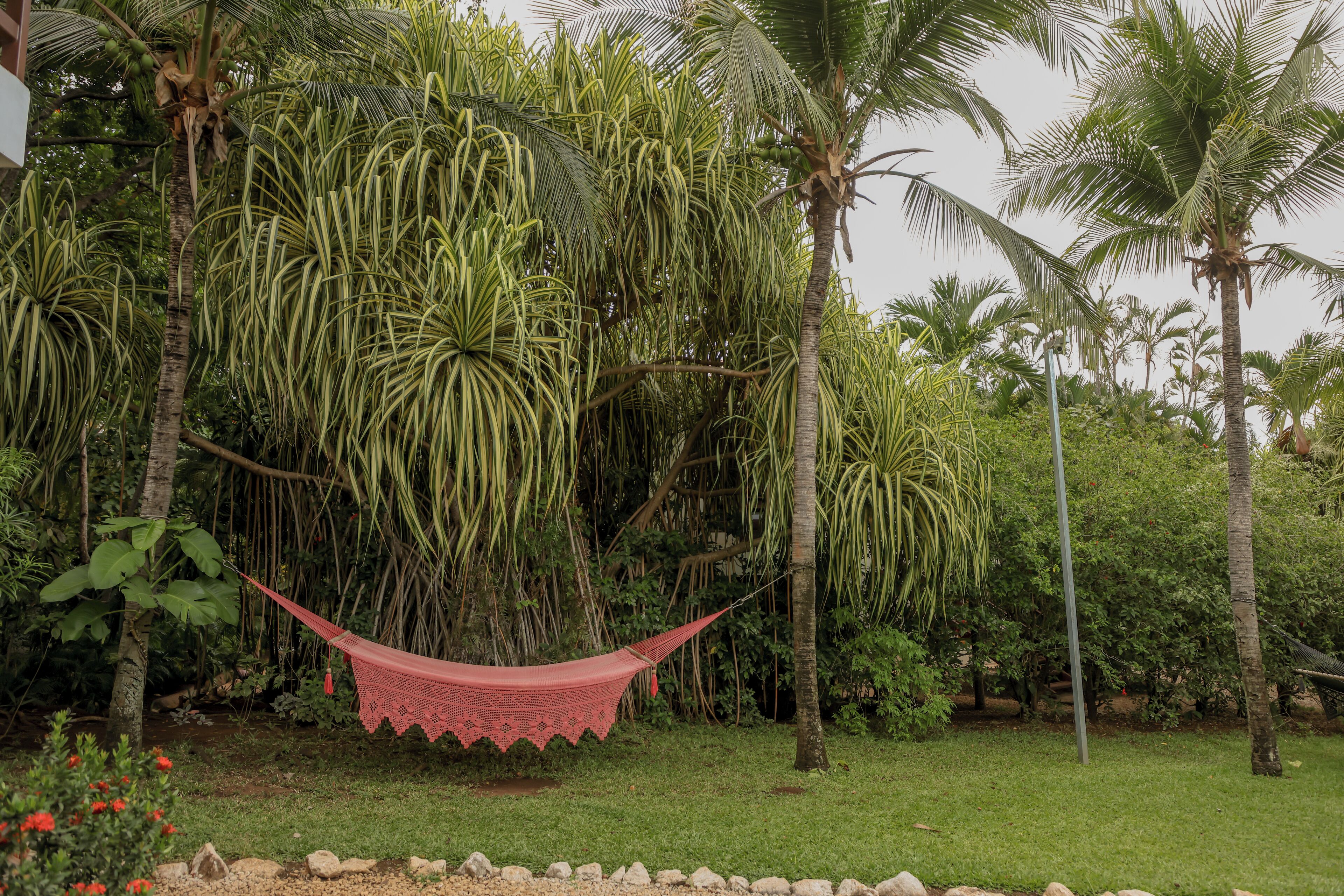 Un'amaca sospesa tra gli alberi in un giardino rigoglioso, ricco di piante tropicali e un cielo sereno.