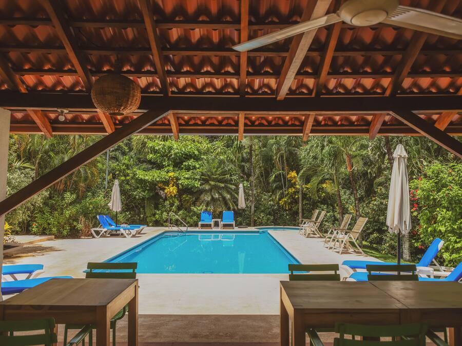 Zona de piscina con sillas reclinables azules y una mesa, rodeada de exuberante vegetación.