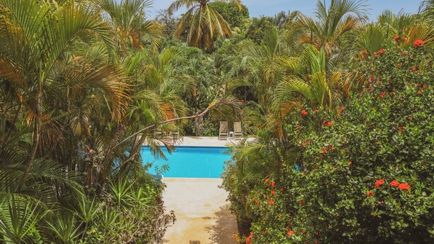 A pool surrounded by lush tropical vegetation and a clear blue sky. - Hotel Villa Del Sol (Sardinal)