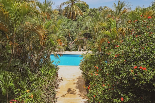 Vista dalla struttura