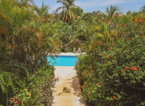 A pool surrounded by lush tropical vegetation and a clear blue sky. - Hotel Villa Del Sol (Sardinal)