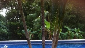 A garden area with a pool, surrounded by a stone border and various plants and flowers. - Cabinas Cigalou Tamarindo (Tamarindo)