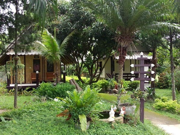 Garden view