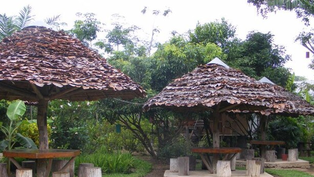 Two wooden structures with thatched roofs, surrounded by greenery.