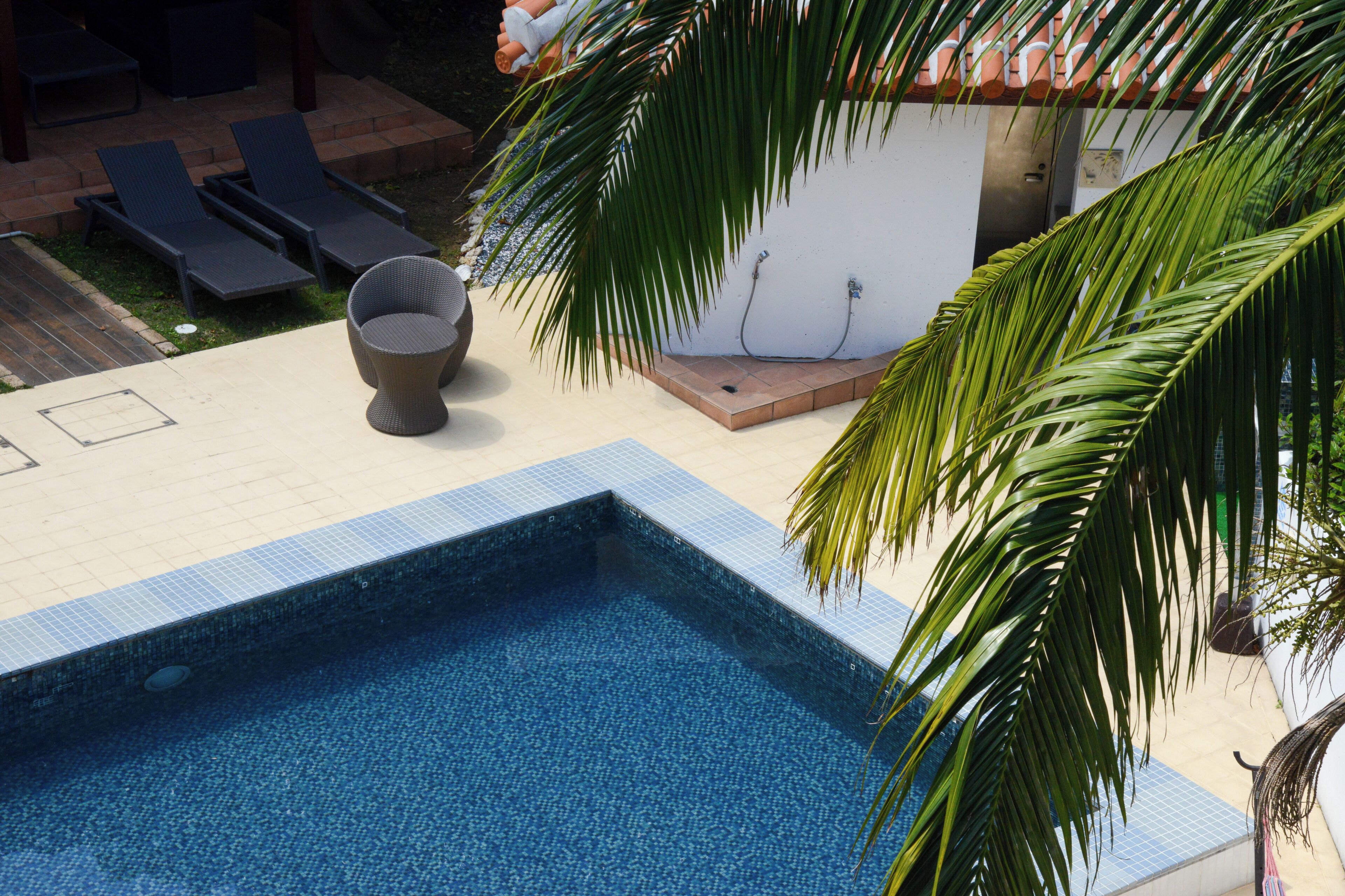 Outdoor pool, open 9:00 AM to 9:00 PM, pool umbrellas, pool loungers