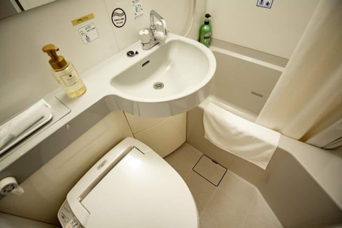 combined shower/bathtub, hair dryer, slippers, bidet