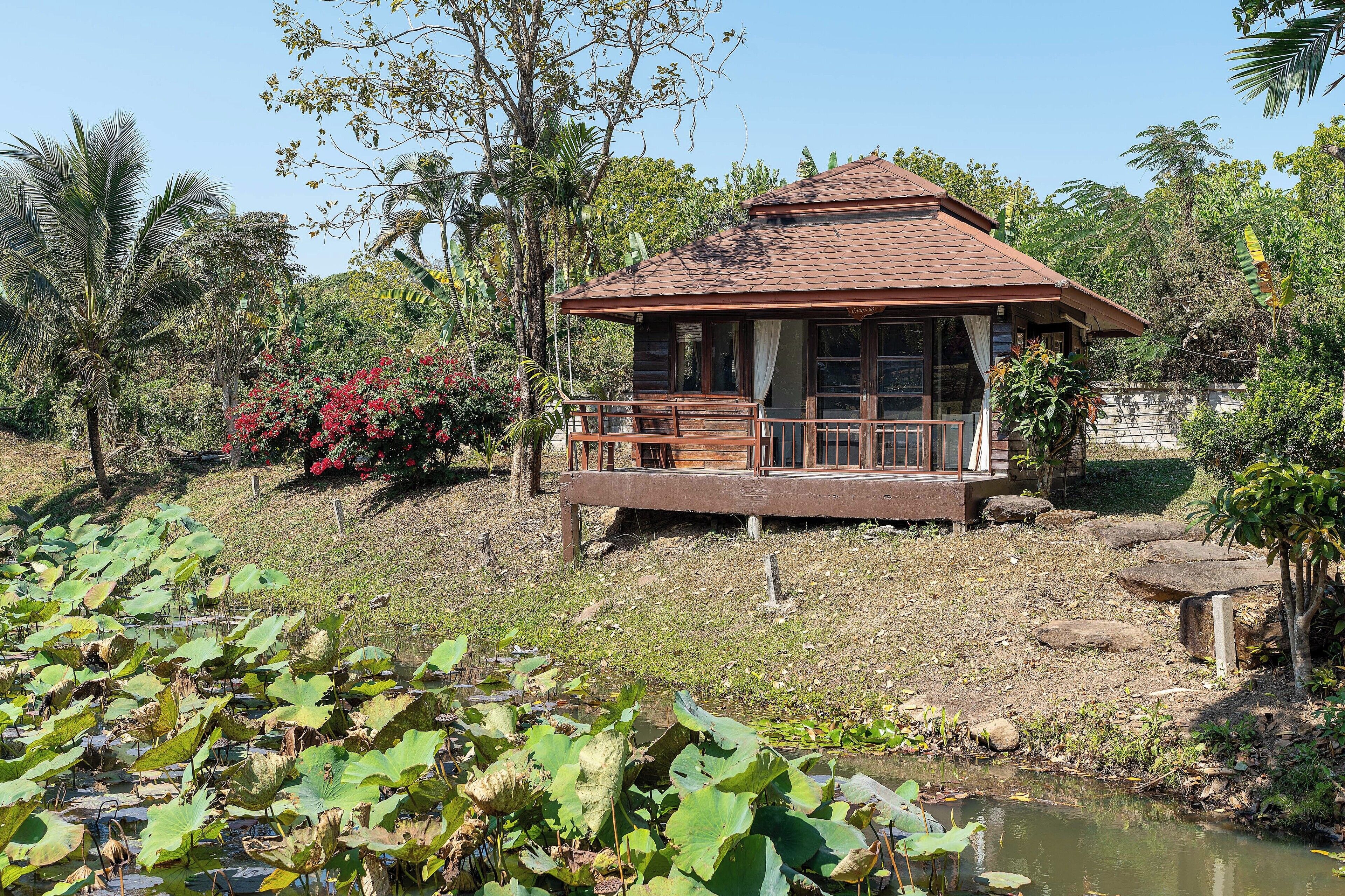 A wooden gazebo with a tiled roof, surrounded by lush greenery and a pond with lotus leaves.