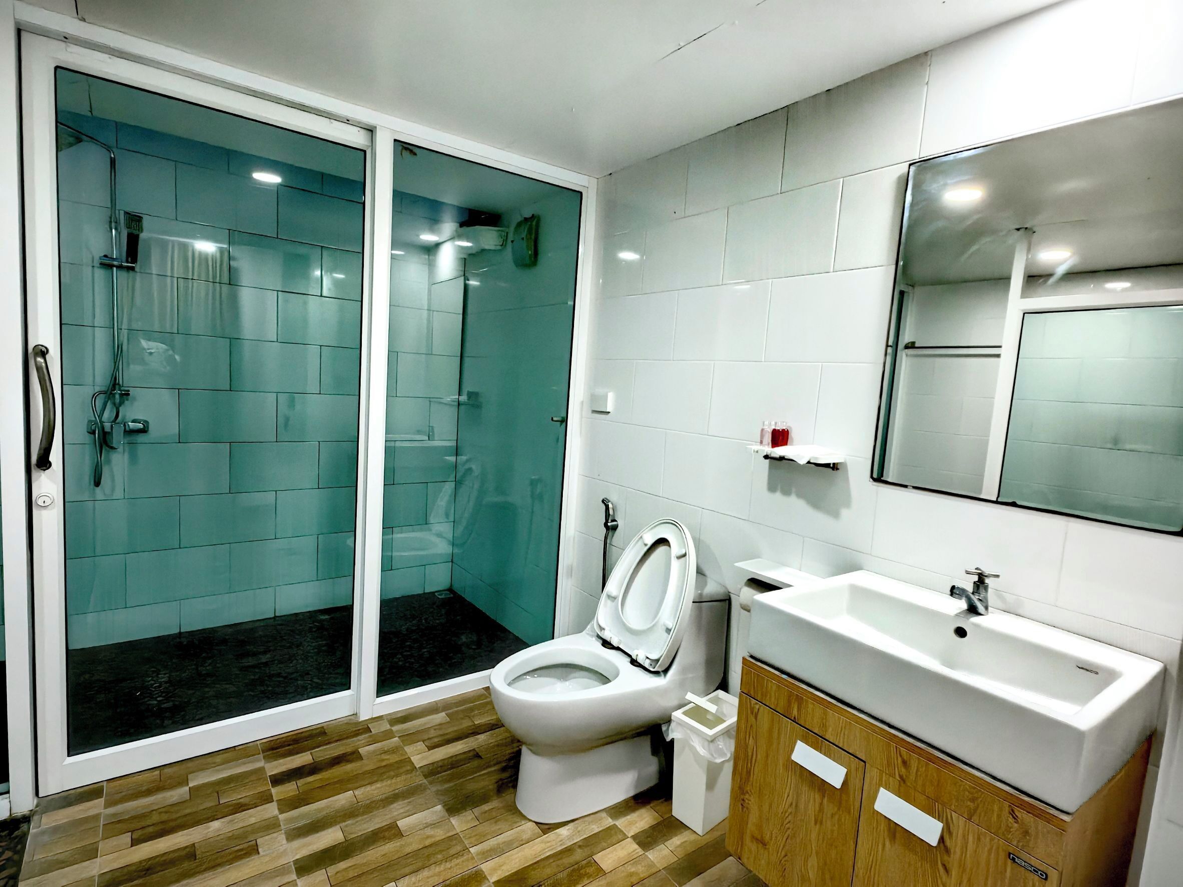 A modern bathroom with a glass-enclosed shower, a toilet, a sink, and a mirror.