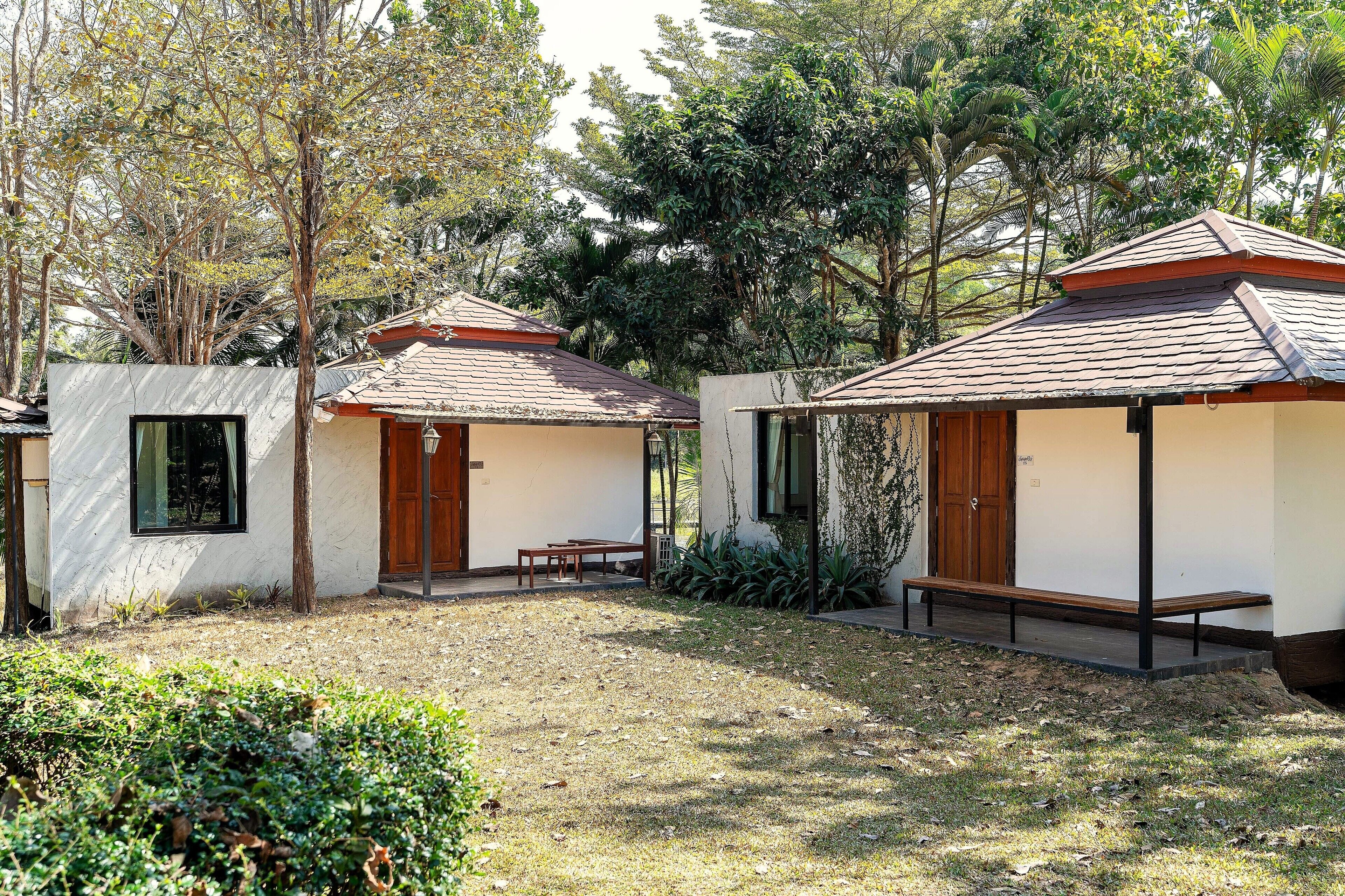 واي فاي مجانًا وملاءات أسرّة