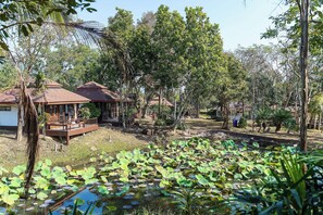 Standard Room, 1 King Bed, Pets allowed | View from room