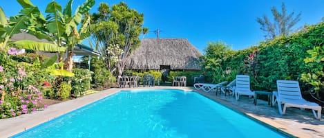 Outdoor pool, sun loungers