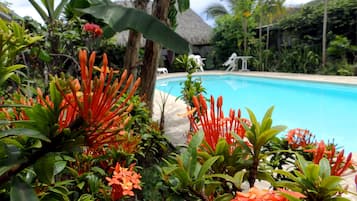 Outdoor pool, pool loungers
