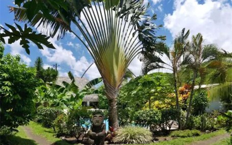 A lush garden with a variety of tropical plants and a statue.