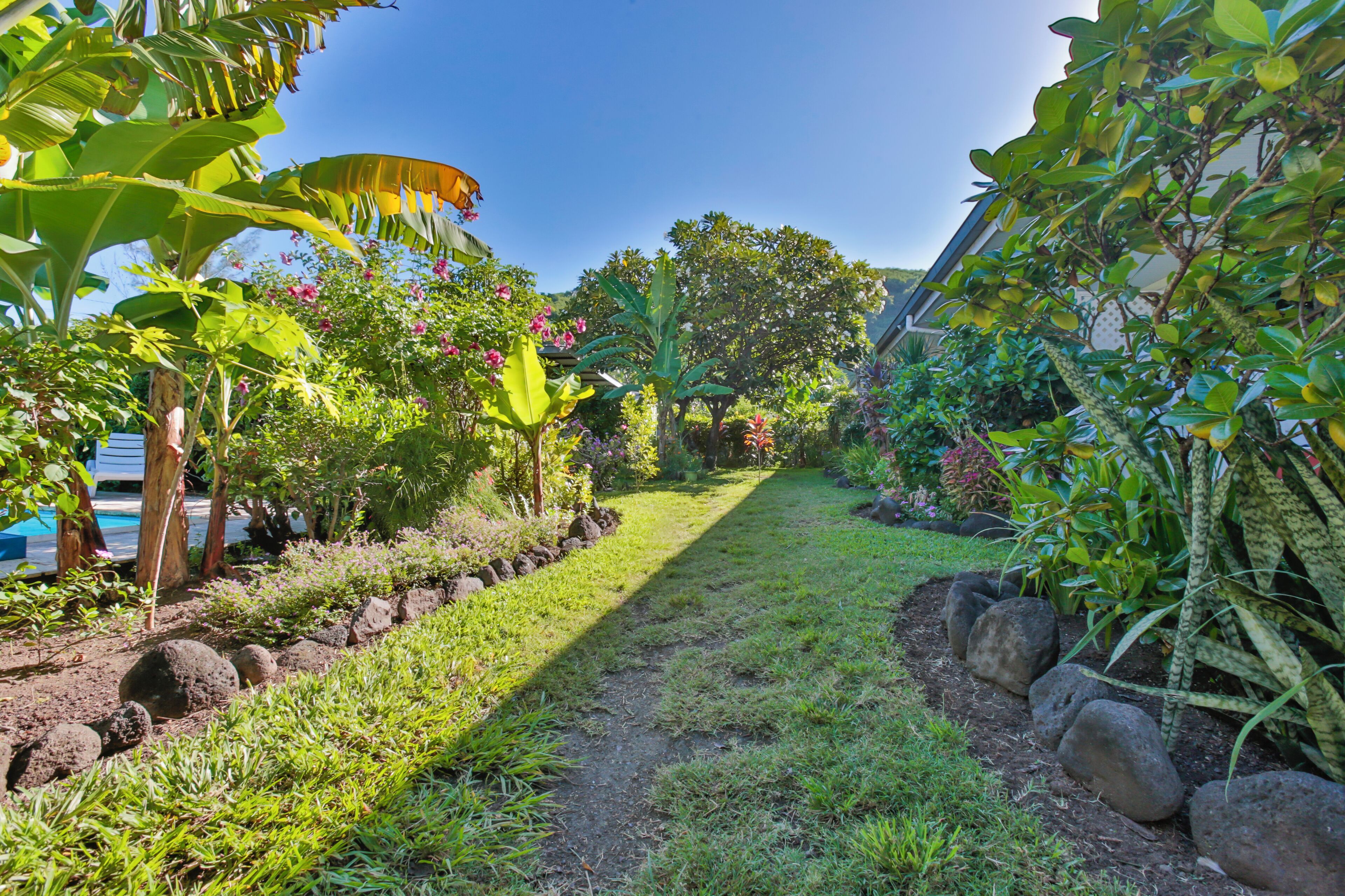 Un sendero de jardín con diversas plantas y cielo despejado.