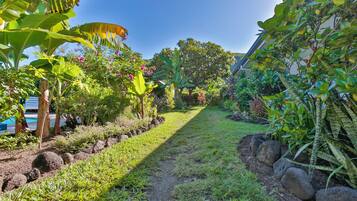 Un sendero de jardín con diversas plantas y cielo despejado.