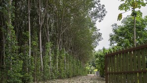 Property entrance - Baan Aree Private Pool (Krabi)