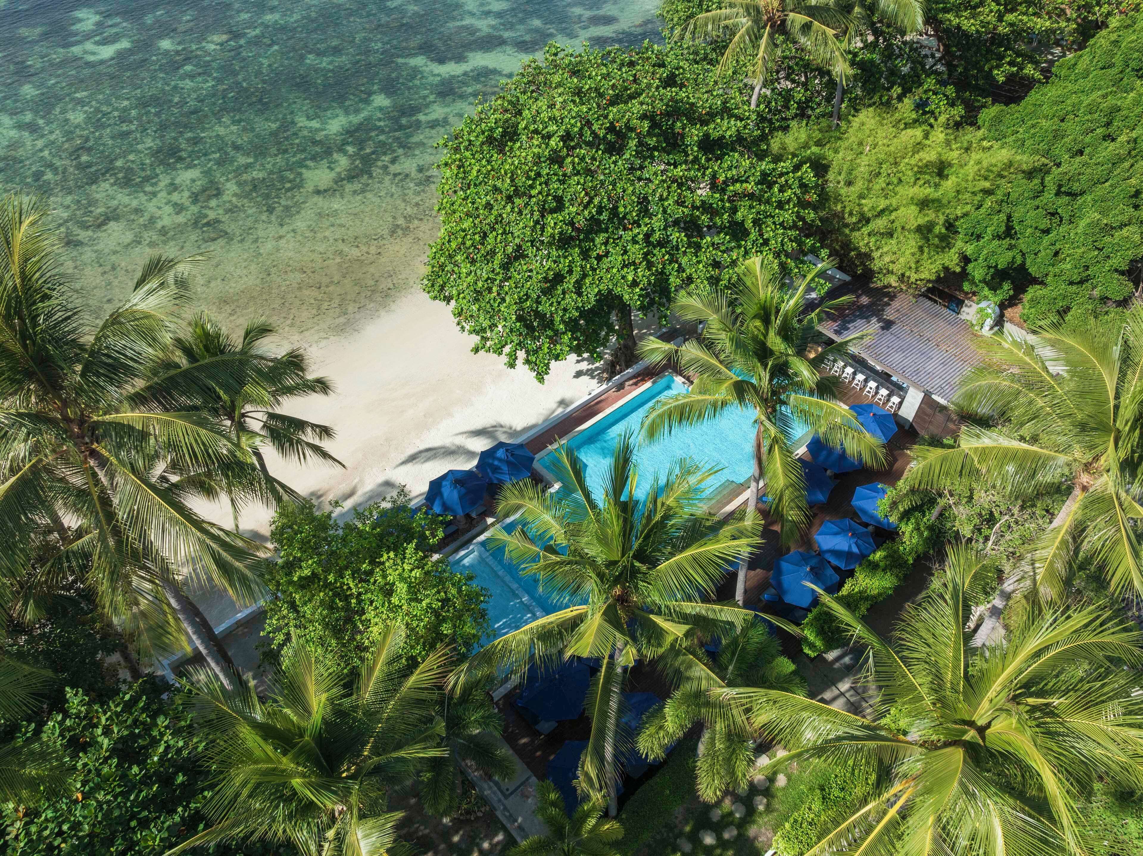 A resort with a swimming pool, palm trees, and a beach view.