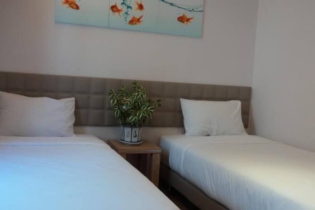 Two single beds with white linens, a headboard, and a small potted plant on a nightstand.