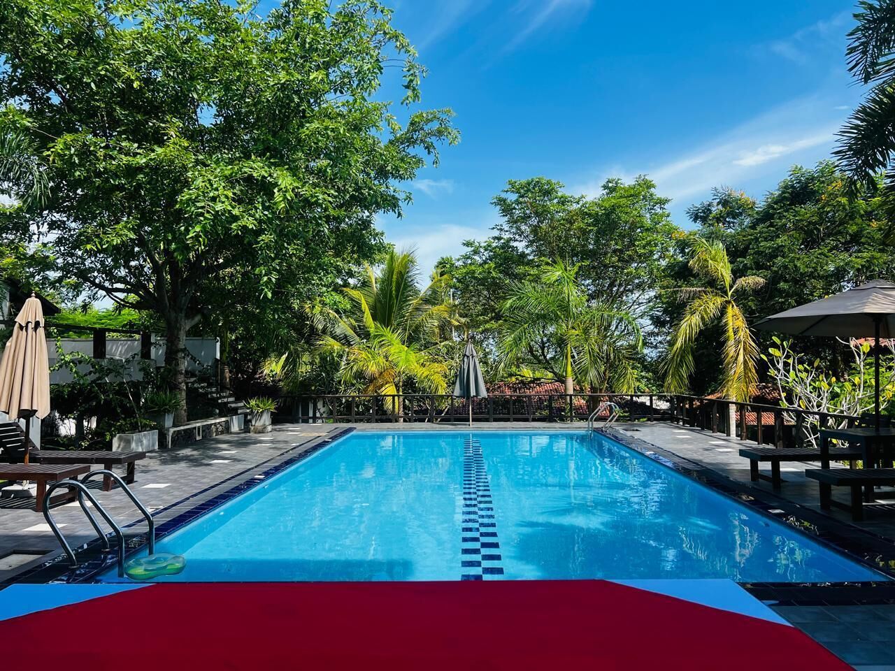 Una piscina rectangular con borde azul y rojo, rodeada de abundante vegetación y palmeras.