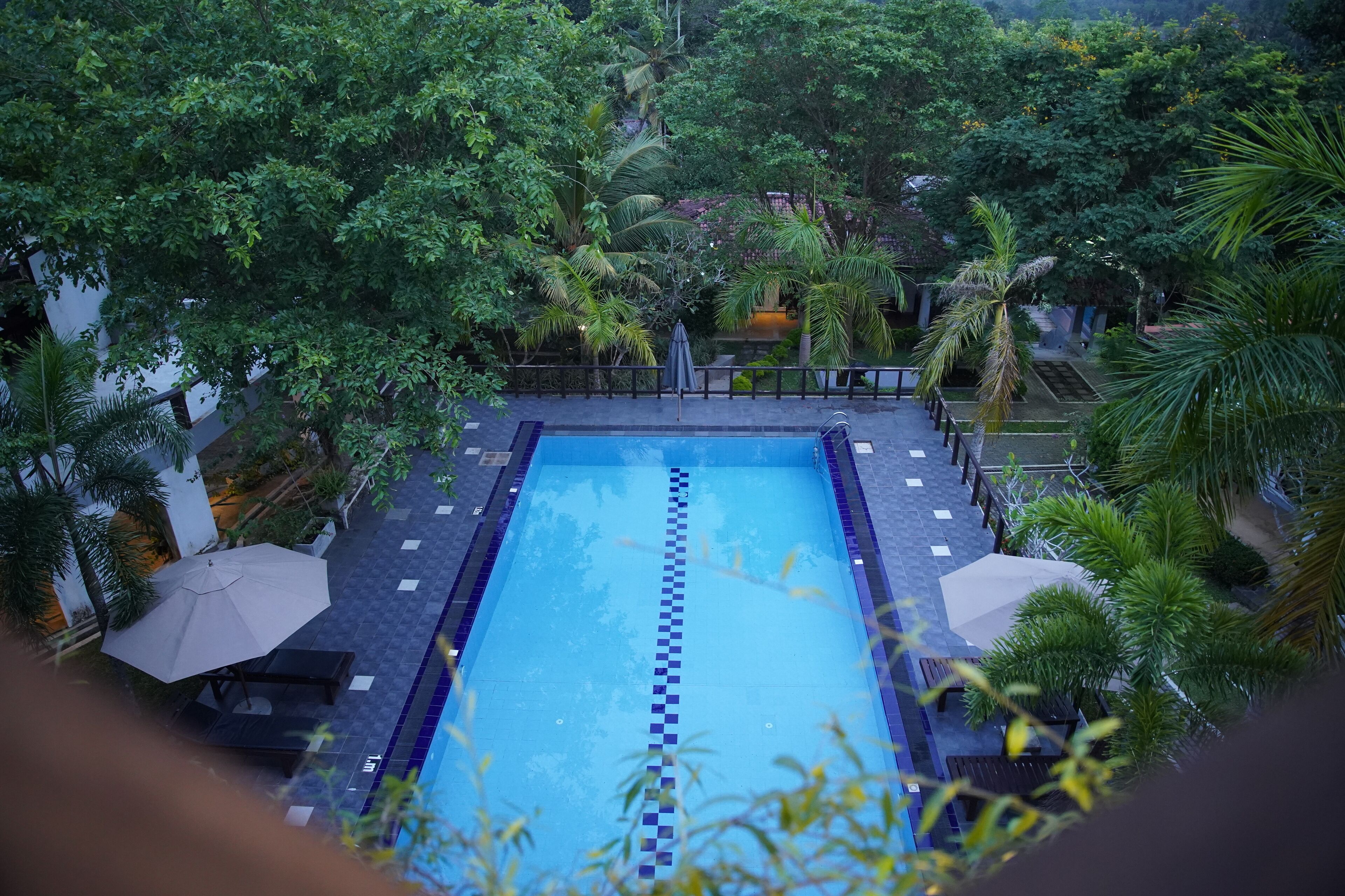 A rectangular swimming pool with a checkered lane divider, surrounded by palm trees and greenery.