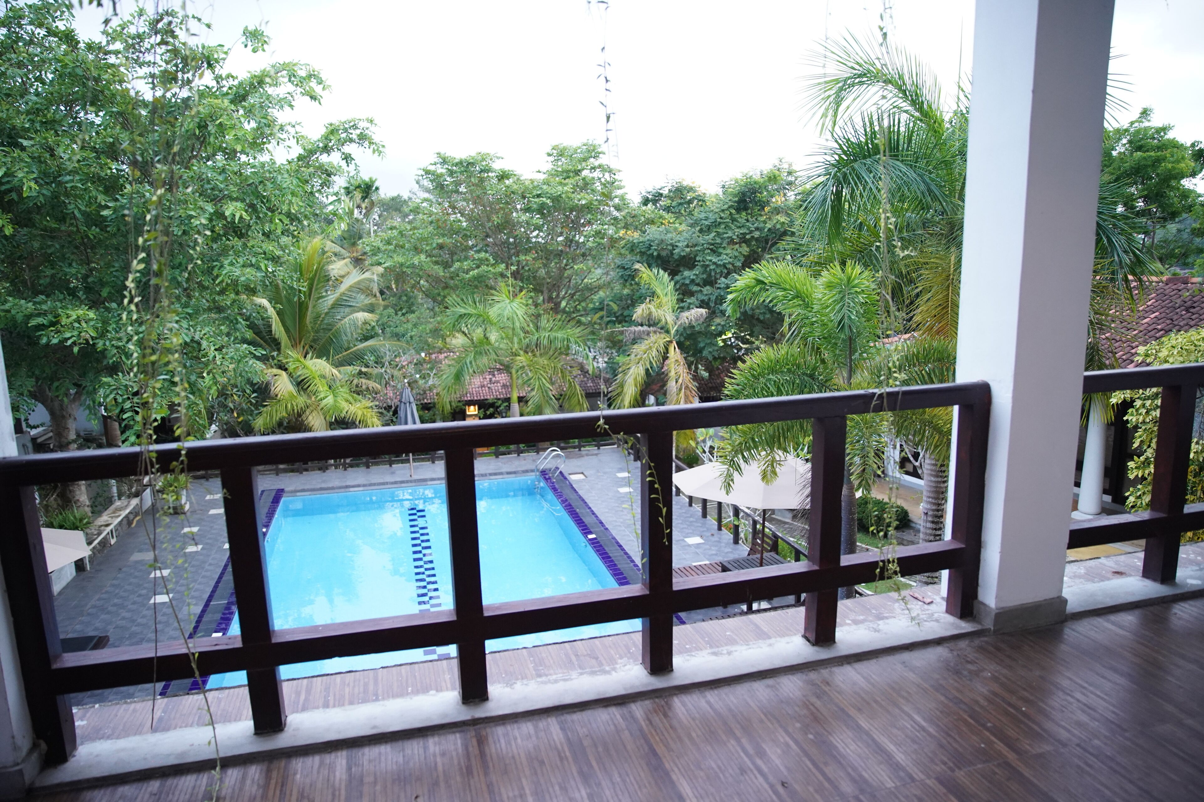 A view of a swimming pool surrounded by lush greenery, with a wooden deck and a white railing.