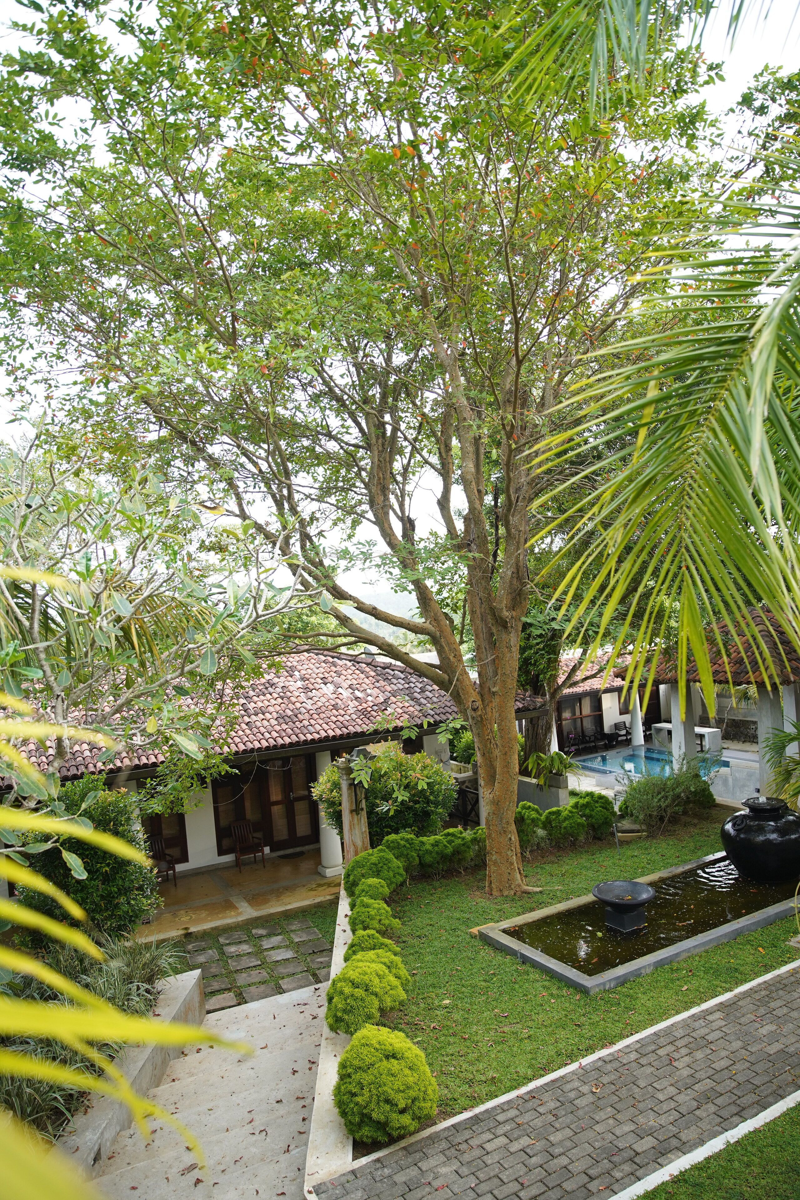Deluxe Triple Room, Multiple Beds, Garden View | Garden view
