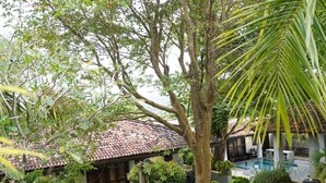 A lush garden with a swimming pool, a covered patio, and a well-maintained lawn. - Fort Edge Retreat (Unawatuna)
