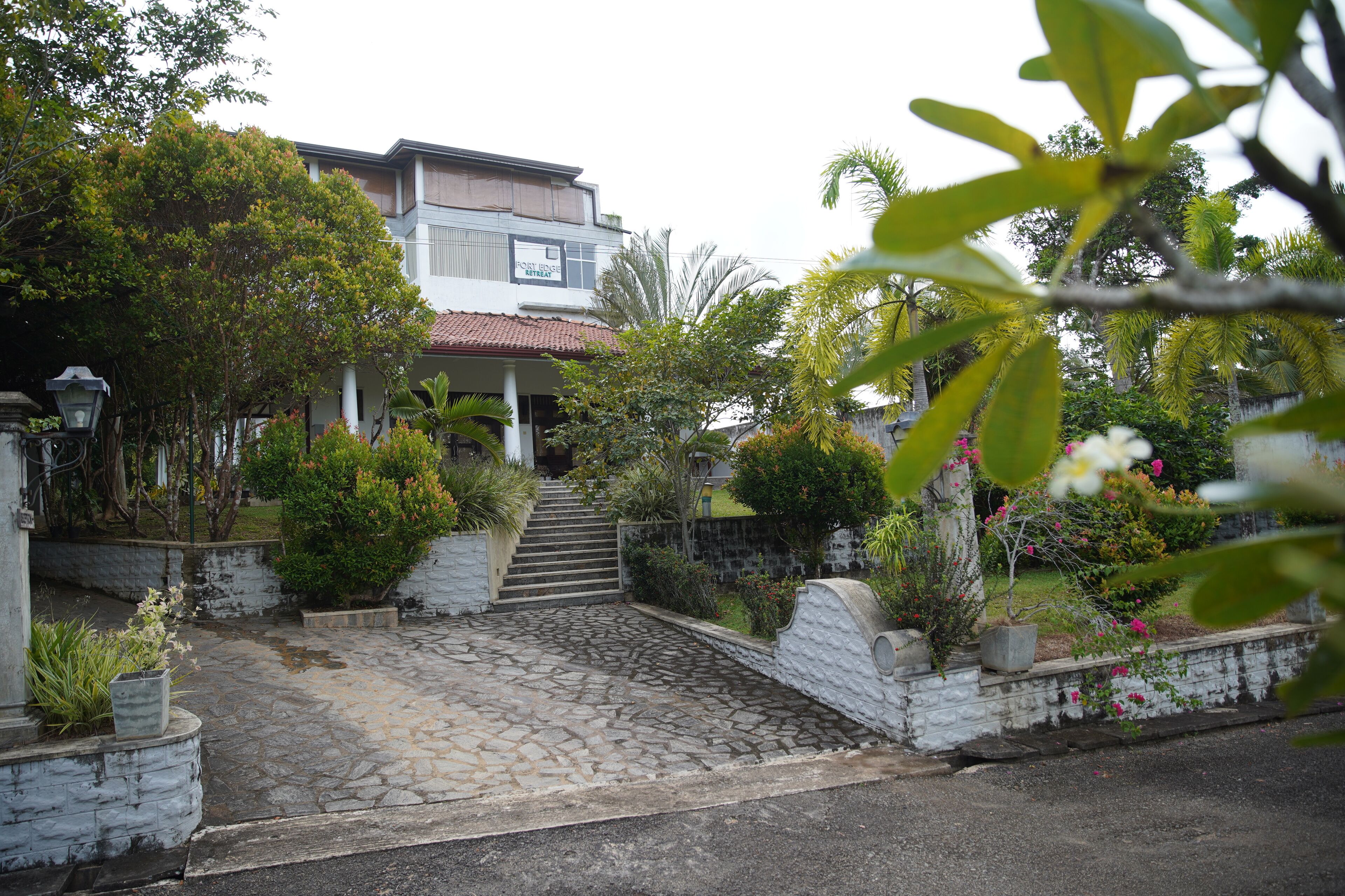 Una entrada empedrada a un edificio con una escalera que conduce a la puerta, rodeada de plantas y árboles.