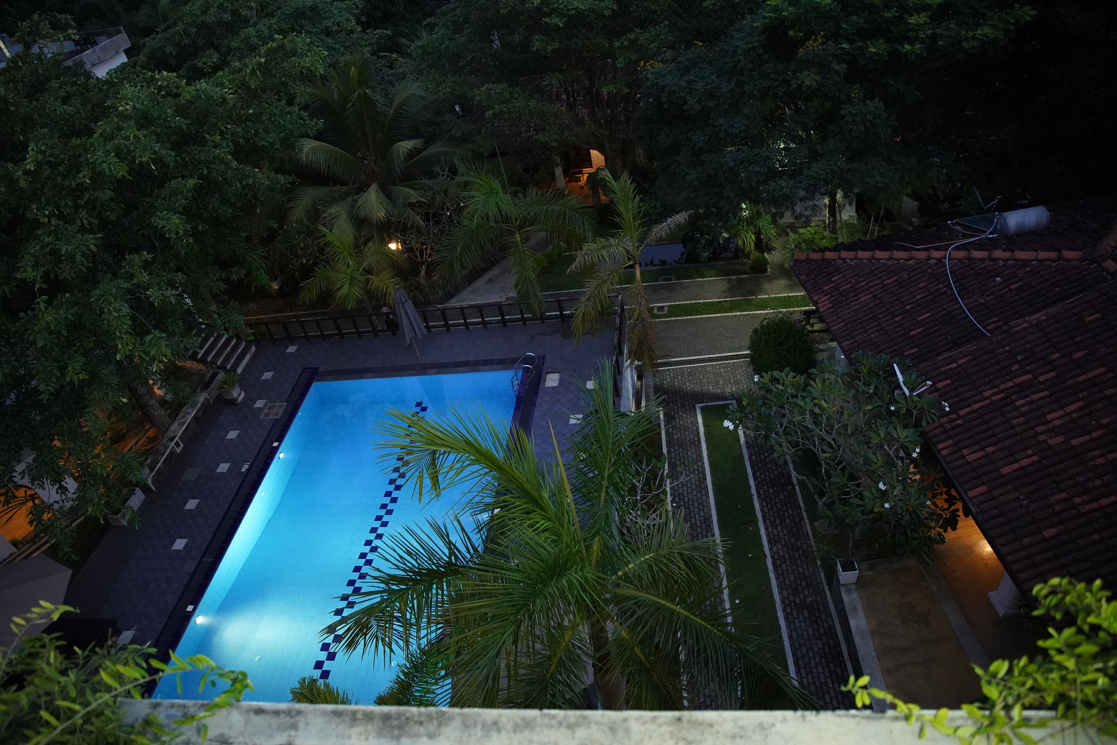 An aerial view of a swimming pool surrounded by lush greenery and a tiled roof.