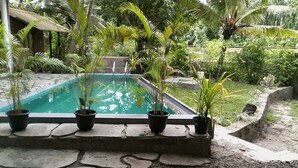 Una piscina rodeada de plantas en macetas y un sendero de piedra.