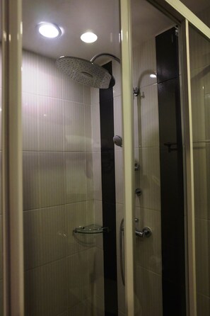 Exclusive Double Room | Regadera en el baño
