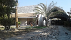A building with a tiled roof, a stone facade, and a palm tree in the foreground. - Road View Lodge (Francistown)
