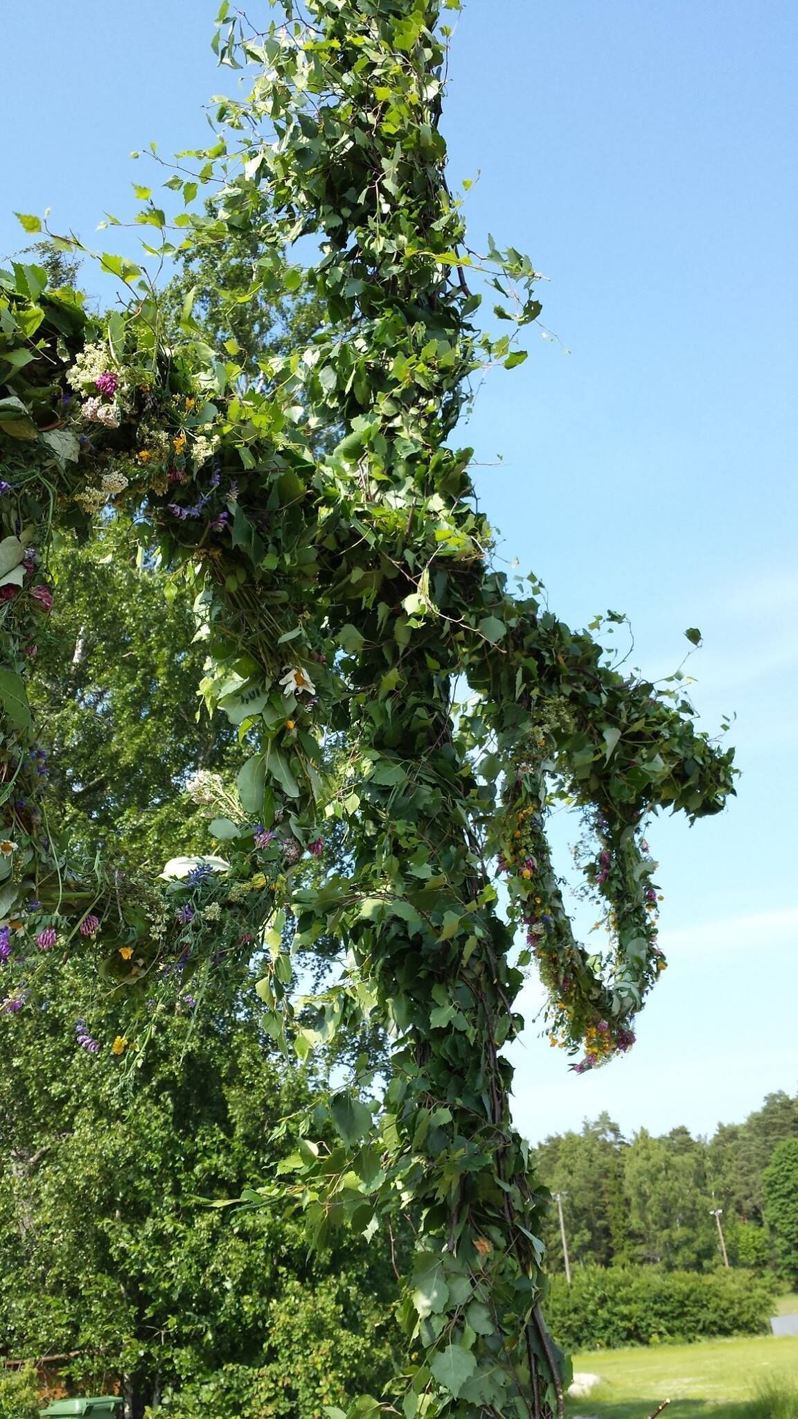 En frodig trädgård med ett stort utbud av växter och blommor, inklusive en klätterväxt med lila blommor.