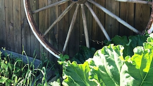 A large wooden wheel with pink flowers growing around it, set against a wooden fence. - Woodstock B&B & Studio Apartments (Balsta)