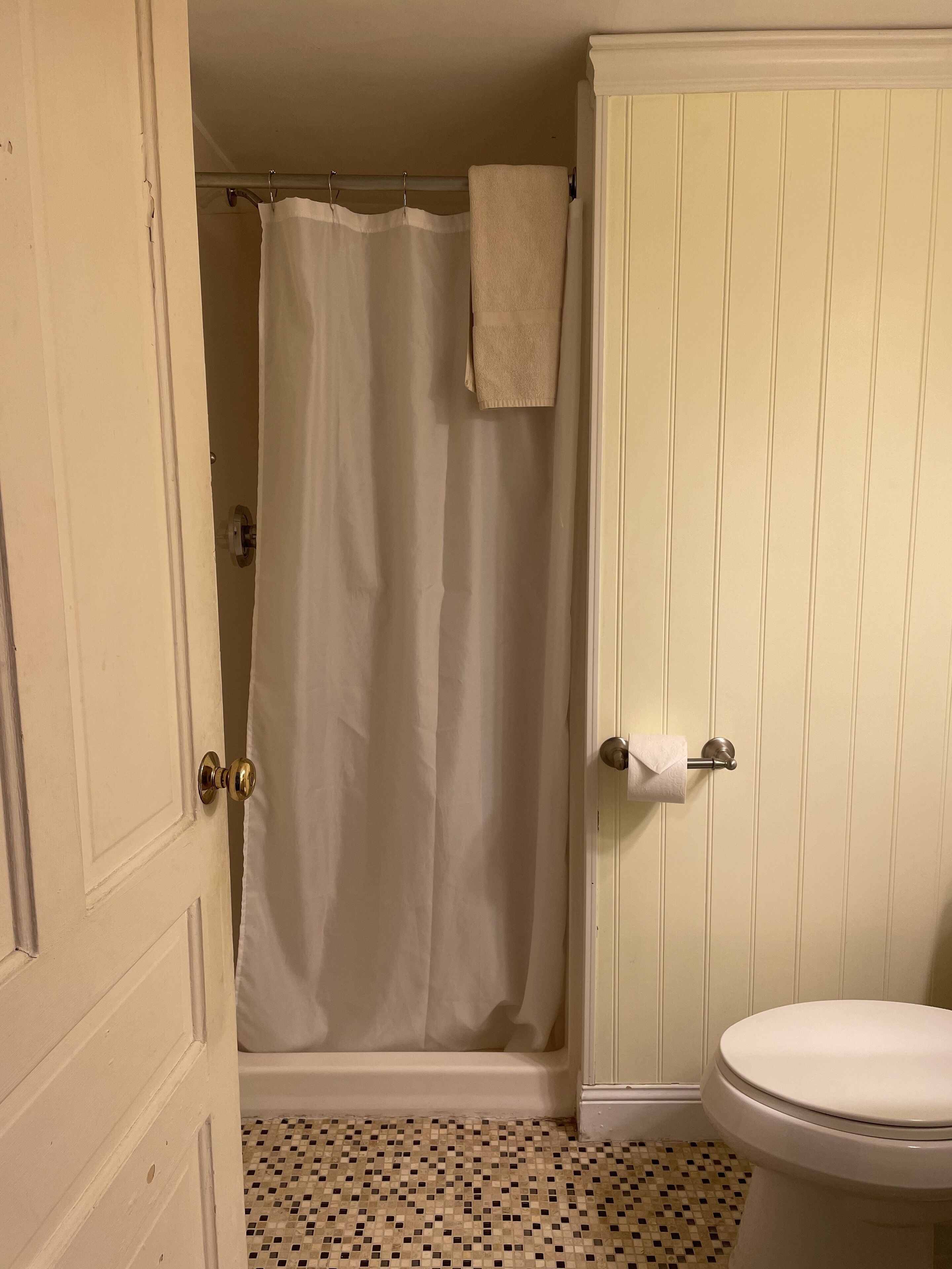 A bathroom with a shower, toilet, and a door with a towel hanging on it.