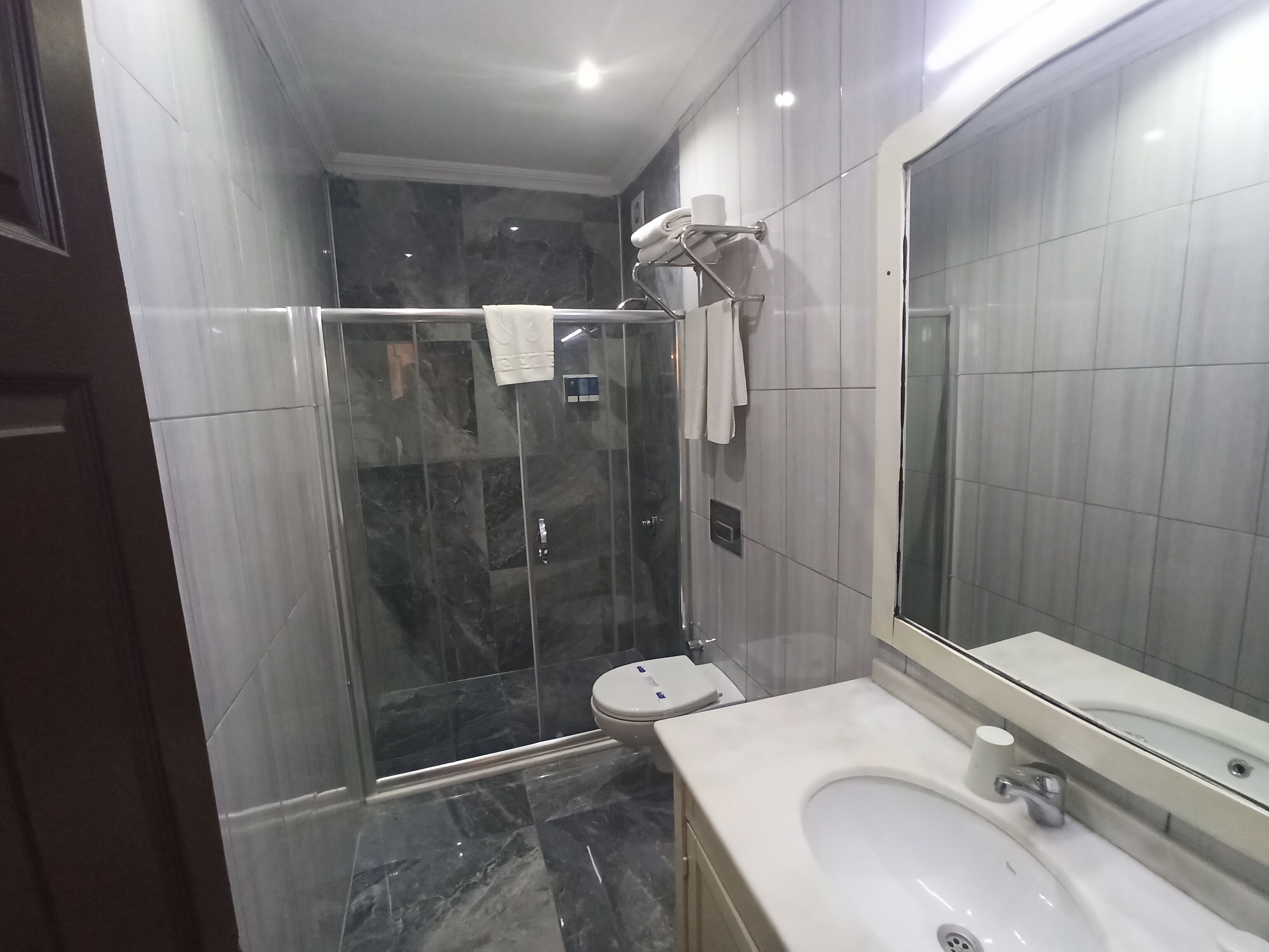 A modern bathroom with a glass-enclosed shower, a toilet, and a sink with a mirror.