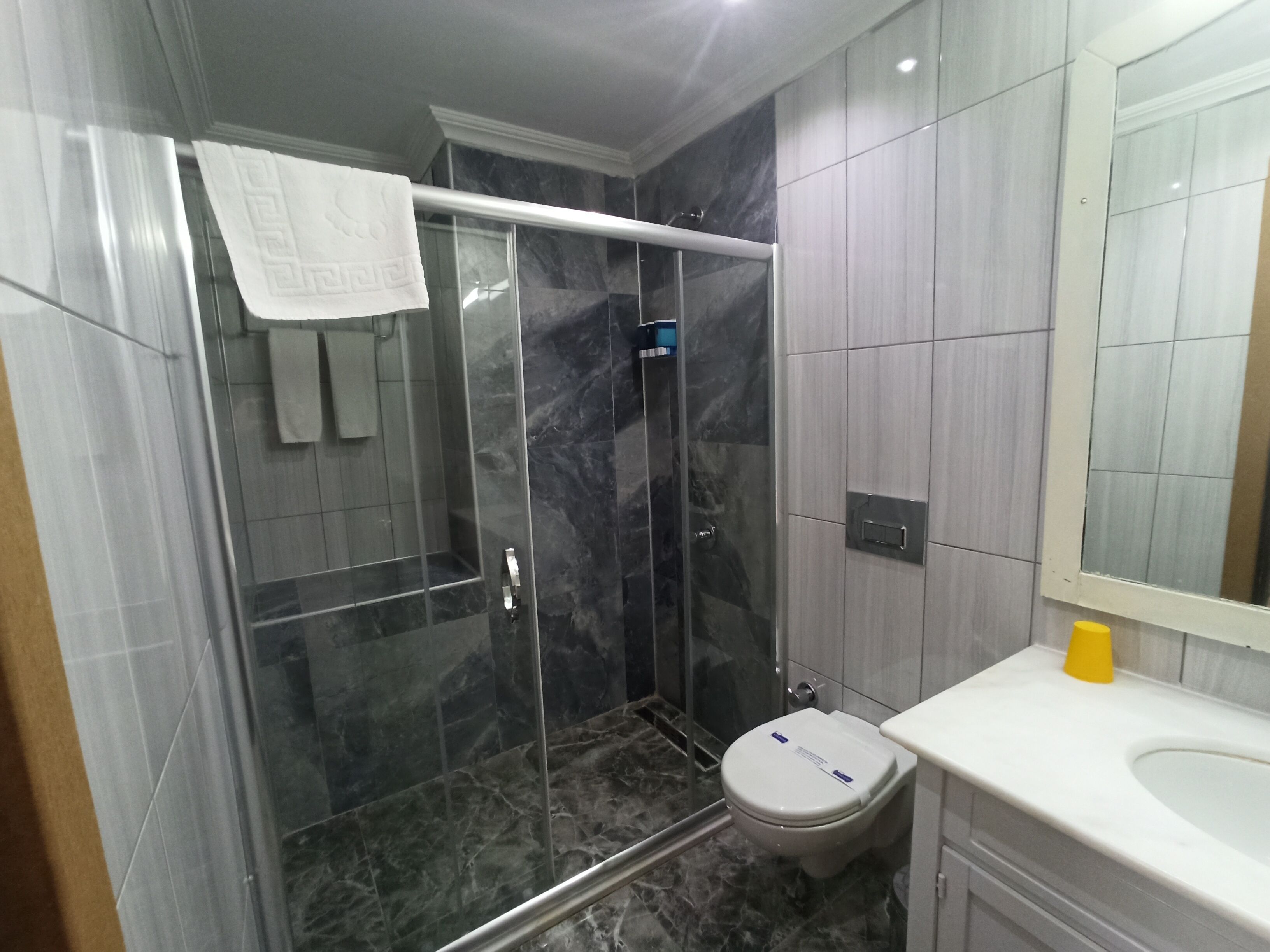 A modern bathroom with a glass-enclosed shower, a toilet, and a sink.