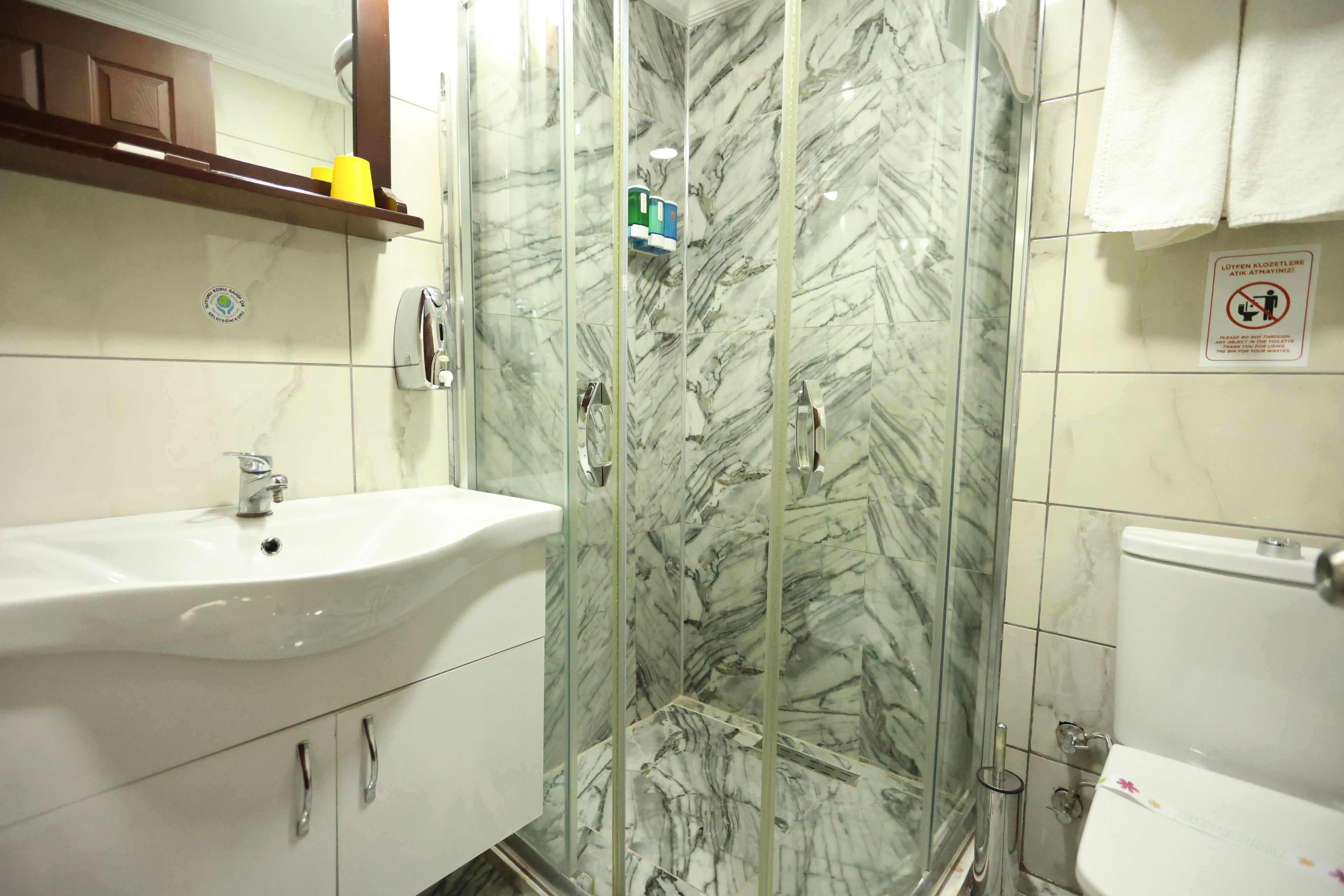 Une salle de bain avec une douche à parois de verre, un lavabo blanc et des toilettes.