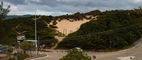 A coastal road with a sandy beach, a curve, and a tree.